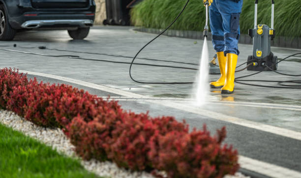 Best House Pressure Washing  in Gifford, FL